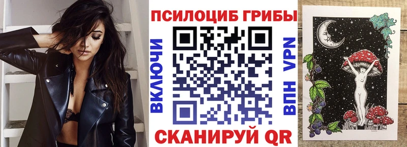 ОМГ ОМГ как зайти  Усолье  Галлюциногенные грибы Cubensis 